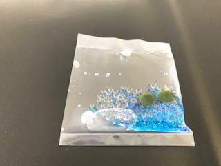Amazon | 水草 まりも袋入りSサイズ（1cm）2個入り | AQUA